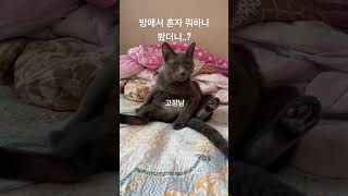 방에서 혼자 뭐하고 있나 봤더니..?