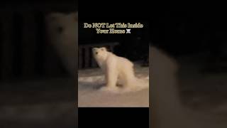 Do Not Let This Inside Your Home Interesting