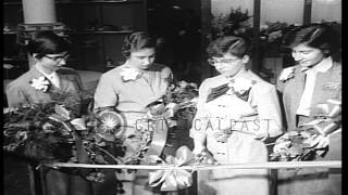 Marie Dionne with the help of her three Dionne Quintuplets sisters opens a flower...HD Stock Footage