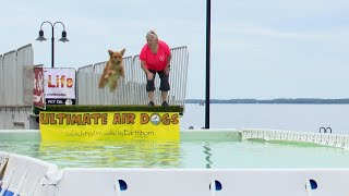 Pooches from all over are taking the plunge at this year’s Seaway Splash