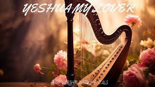 YESHUA MY LOVER / PROPHETIC HARP WARFARE INSTRUMENTAL / DAVID HARP / 432Hz BODY HEALING INSTRUMENTAL