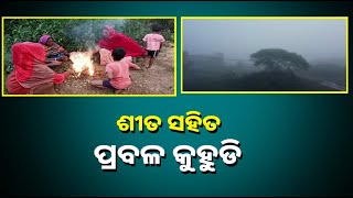 କରଞ୍ଜିଆ ଉପଖଣ୍ଡରେ ଶୀତର ପହିଲି ସ୍ପର୍ଶ ||Knews Odisha || Knews Odisha