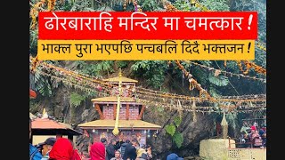 Dhor Barahi Temple in Tanahun/ ढोर बाराहि मन्दिर तनहु !