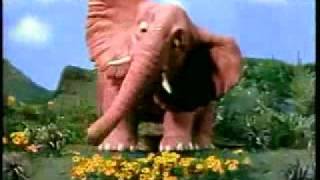 MTV - Elephant