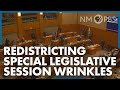 New Wrinkles in Store for Redistricting Special Legislative Session | In Touch