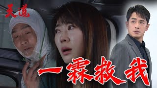 天道 EP148預告｜信泰醒了! 一霖在車外感受到爸的氣息 養女瑩瑩會出手相救嗎