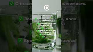 Готовим хлорофилл в домашних условиях 🌿 Сохраняйте рецепт 👇🏼