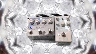 Earthquaker Arpanoid into Mattoverse Warble Swell Delay