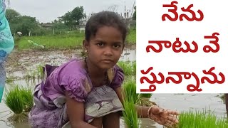 నేను నాటు వేస్తున్నాను.||Nenu naatu vestunnanu,