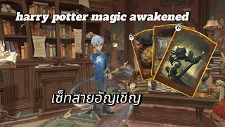 Harry Potter magic awakened | เซ็ทสาย อัญเชิญสัตว์วิเศษ