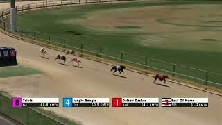 Gawler-18122024-Race-5