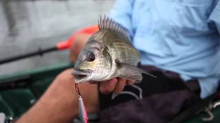 How to catch shallow water bream