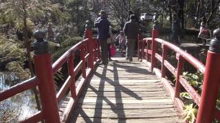 深大寺一休庵の前 120109