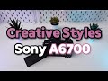 Sony A6700: Creative Styles Feature