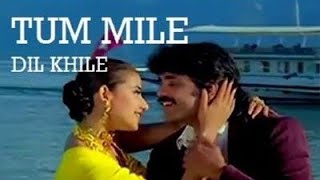 Tum Mile Dil Khile❤️Video Song|Criminal Songs🎥|Akkineni Nagarjuna, Manisha Koirala,Kumar Sanu,Alka