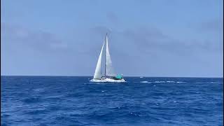 Hanse 531e under sail