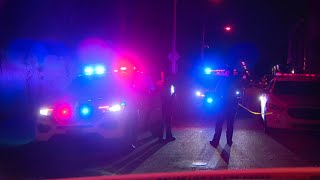 Μας σταμάτησε η αστυνομία στην Αμερική... | Florida Vlog #3