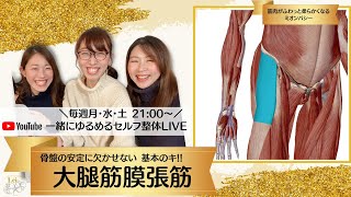 「大腿筋膜張筋のセルフ整体」立ち姿勢や歩行時の骨盤の安定に欠かせない！〜筋肉がふわっと柔らかくなるミオンパシー|一緒にゆるめるセルフ整体LIVE 股関節ケア基本のキ！#2