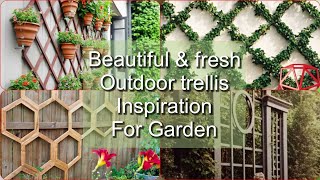 Low Cost & No Cost Beautiful Trellises Ideas l Garden Oasis l Privacy Trellises