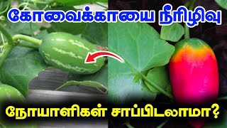 கெட்ட கழிவுகளை அகற்றும் கோவைக்காய்! ஆனால் இதை இப்படி மட்டும் சாப்பிடாதீங்க !