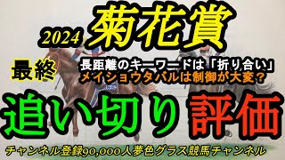 【最終追い切り評価】2024菊花賞！メイショウタバルは制御が大変そう？追い切りの大事なテーマは「折り合い」