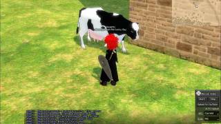 Mabinogi Cow Fail