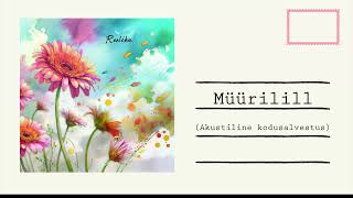 Reelika - Müürilill (akustiline kodusalvestus)