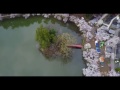 mavic pro 日本の桜百選 臥竜公園