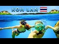 Paradise Island Outside Pattaya, Thailand KOH LAN (Koh Larn) 2024