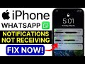 WhatsApp Notification Not Working iPhone | WhatsApp Notifications Not Receiving | iPhone Fix 2025