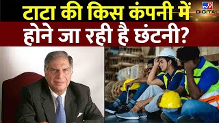 जानिए क्यों Ratan Tata की Company से हो रहे है 2800 लोग Unemployed | #TV9D