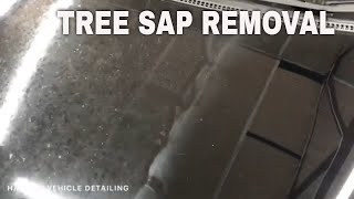 TREE SAP REMOVAL , CARPRO ULTRA CUT , 3D ONE ,   MACHING POLISH , PAINT CORRECTION