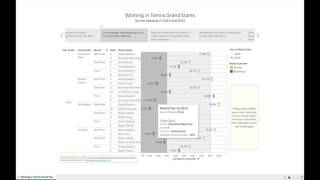 MIS6380 Data Visualization : Winning in Tennis Grand Slams - An Analysis for 2014 and 2015