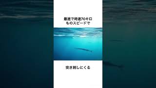 海の危険生物ダツ #海 #危険生物 #ダツ #shorts