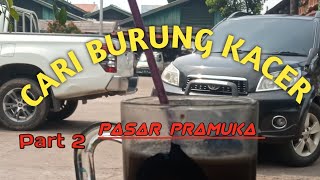 BELI SANGKAR BURUNG @rico_id217 #kacermania #pasarburungpramuka #kicaumania