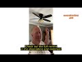 review honeywell ceiling fans glen alden 52 inch classic flush mount indoor led ceiling fan with li