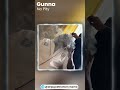 Gunna - No Pity (CDQ Snippet)