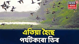 পৰিভ্ৰমী পক্ষীৰ কলৰৱেৰে মুখৰিত Numaligarh