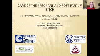 Manage Your Female Brood Dog: Pregnancy to Repeat Breeding, Pt2 Good Dog Webinar