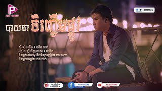 បាយឆាចិញ្ចើមផ្លូវ LYRIC VIDEO  [ផានិត] COVER