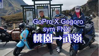 【武嶺制霸】gopro X gogoro 兩大社群 跨界聯手│SYM FNX與gogoro上武嶺？一日武嶺│125cc機車雙載│#GO會玩，台灣公路最高點│白牌機車上武嶺