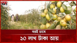 কুল বরই চাষে ভাগ্য খুলেছে গিয়াসের | Kul Boroi | Plum Cultivation | Moulvibazar | Somoy TV