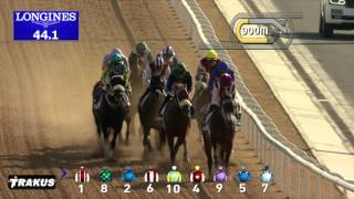 DWC 2016  - Race 2   - Godolphin Mile Sponsored By Meydan Sobha