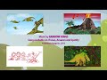 the little green frog song rainbow songs music videos for kids by howdytoons