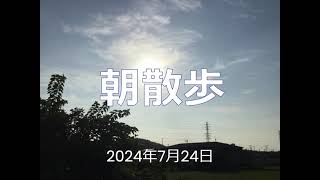 朝散歩（2024年7月24日）