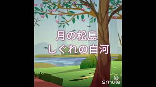 🌺「みちのくひとり旅」①    山本譲二    1980年(昭和55年)8月5日リリース    cover〈Sakaguchi〉