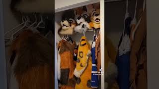 Do Furrys have Money...no just expensive Carpets #furry #furryfandom #fursuit #fursuiter #furrytrash