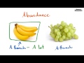 abundance definition for kids