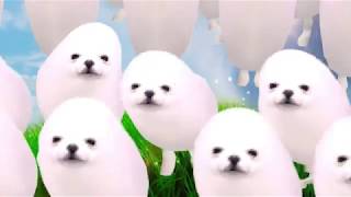 Happy Easter from Eggdog