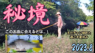 「秘境」野釣りであの魚に会えるとは！【越谷市】　small fish fishing/woman fishing2023.8　